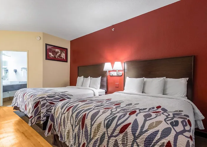 Red Roof Inn Georgetown, In - Louisville West